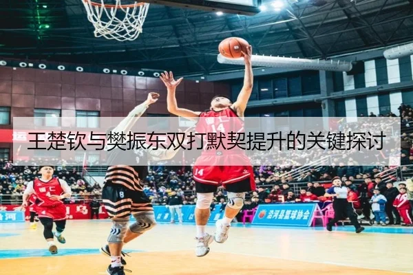 王楚钦与樊振东双打默契提升的关键探讨